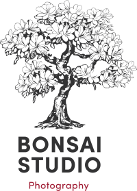 Bonsai - Studio fotografico Milano